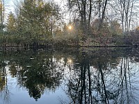 Étang noyan avec soleil