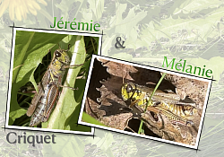 Interprètes