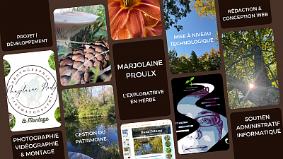 Montage Pro ULX pour MProjet & MP_Consultante