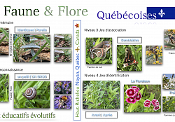 Jeu de mémoire de Noyan