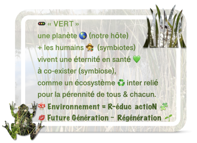 Visions Significatives